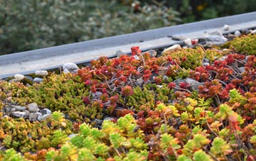 the cost of Archenfield green roof installation