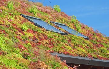 Archenfield living roof systems
