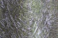 Archenfield fibreglass roof work